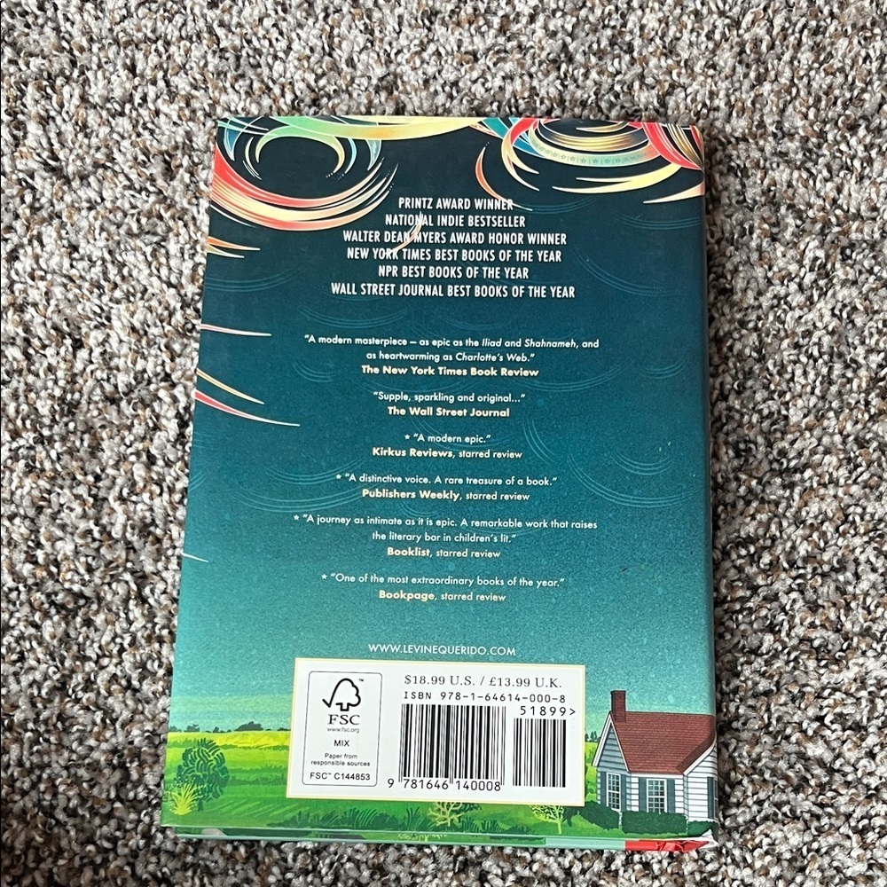 Everything Sad is Untrue Book Hard Cover - Picture 4 of 4
